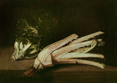 Cardoon and Cabbage by Spanish School